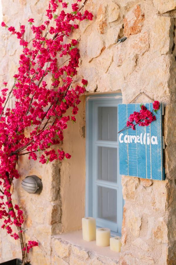 Villa Antheia Karterados  Exteriér fotografie